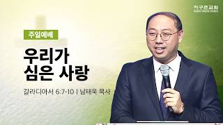 (분당채플 4부) 우리가 심은 사랑