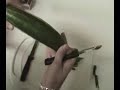 G�ktu? Y�ksel\