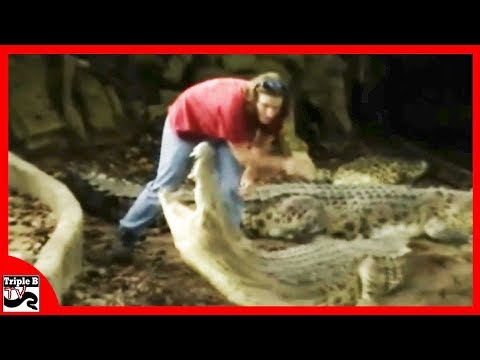YouTube reptile video
