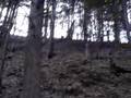 videos de JAMES TAKES DOWN LITTLE TREE