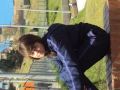 elektronike peliando