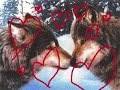 We Love Frezned Society