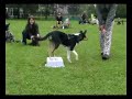 Aries, 5 miesięcy - i kliker