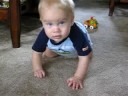 Andrew crawling
