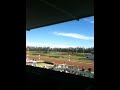 Hialeah Race Track - Pista de Carreras