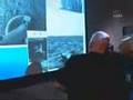 Phoenix:Downlink of Data3