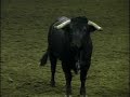 Freestyle Bullfight-National Western Stock Show