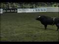 Freestyle Bullfight-National Western Stock Show