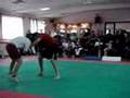 Andrea-Crox-Carotti-