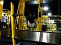 Smith-Machine-Shrug-