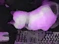 me patting ma cat
