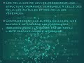 Cellules, ADN et unité du vivant II)A) part 2 Cellules, ADN et unité du vivant II)A) part 2