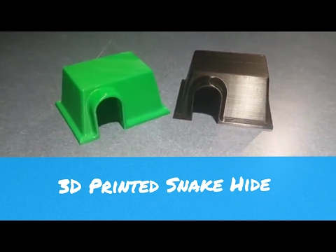 YouTube reptile video