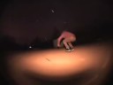 Rooooooooooof Edit