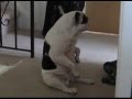 View Video