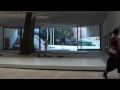 54 Venice Art Biennale (Giardini)