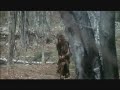 La guerre du feu