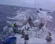 fast Sailing in 30 kts +