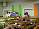 seyc 2008