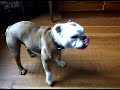 VID 00000-20100607-1100.3GP
