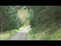 Glentress Red Route (Mountain Biking)