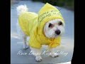Funny Animal Pictures! Funny Animal Pictures!