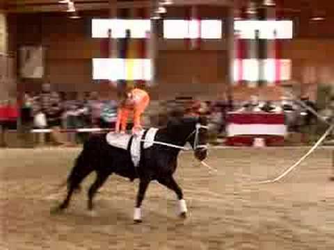 staatsmeisterschaft styria & ...