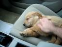 neila-please-wake-up