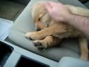 neila-please-wake-up