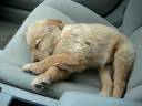 neila-please-wake-up