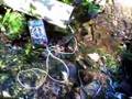 Sommer-Temperatur in Quelle Fountain temperature
