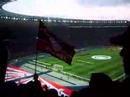 DFB-Pokalfinale 2008