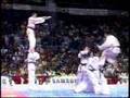 Tae-Kwon-Do-W-T-F-Do