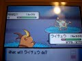 Catching a Shiny Mankey