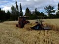 Moderne jordbruk p� Sandvollan anno 2008!