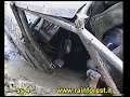 video of the rainforest = Su4x4.com = video of the rainforest = Su4x4.com =