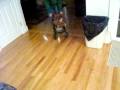 videos de stoli roller