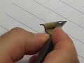 Pointed Pen Copperplate Calligraphy 01