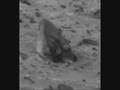 videos de ROVER ANOMALIES PHOTO MARS partie.1