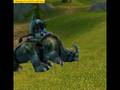 videos de Kodo Journey