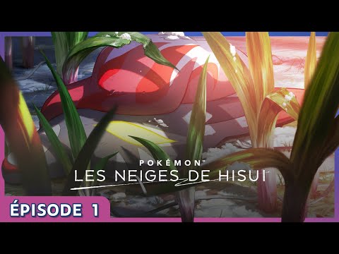 Vidéo 1