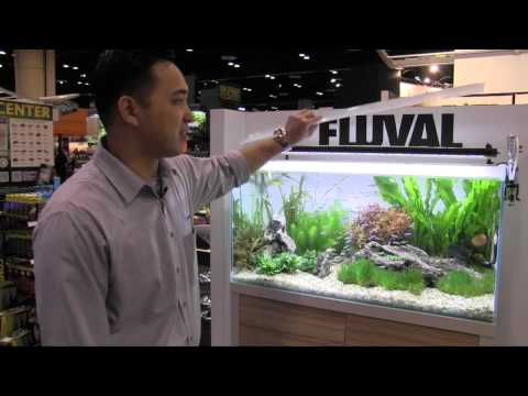 Fincasters Episode 36 Fluval Unveils Amazing Planted Aquarium