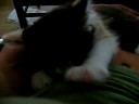lilly tritt mi(l)ch lilly tritt mi(l)ch