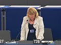 Turkish Accession to the EU