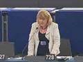 Turkish Accession to the EU