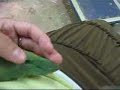 birds02 birds02