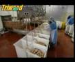 Mass Producing Hot Dogs in a Factory