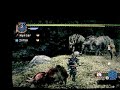 Me owning a Rathalos and Rathaian! Me owning a Rathalos and Rathaian!