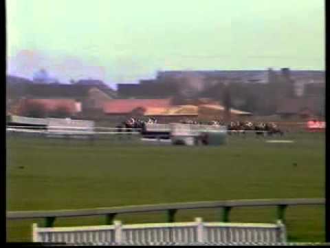 horse racing cheltenham