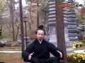 Wudang Kungfu Interludes of Taoist Qigong